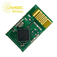 Módulo do protocolo de Zigbee Cc2652 multi nas entradas
